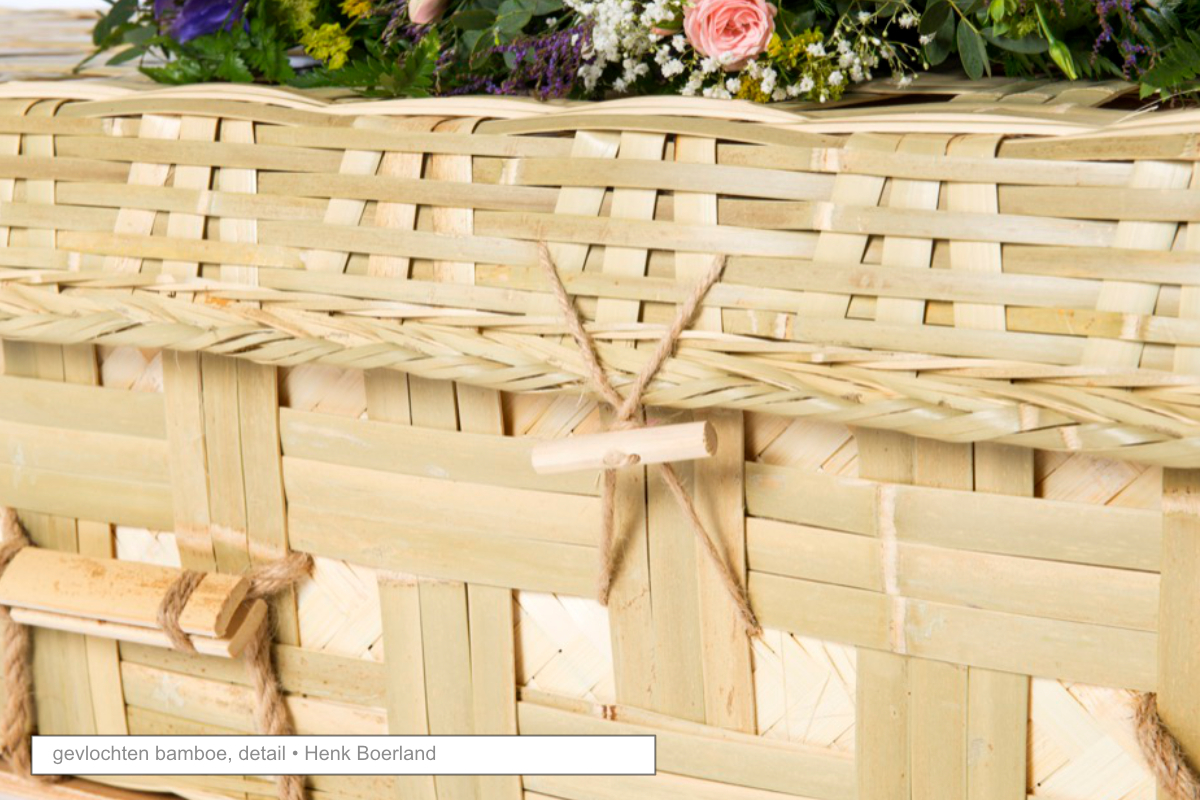 bamboe.jpg bamboe.jpg