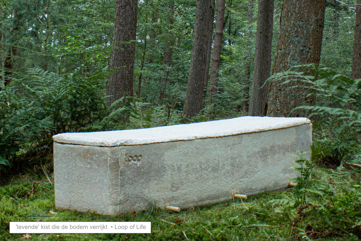 paddestoel.jpg paddestoel.jpg