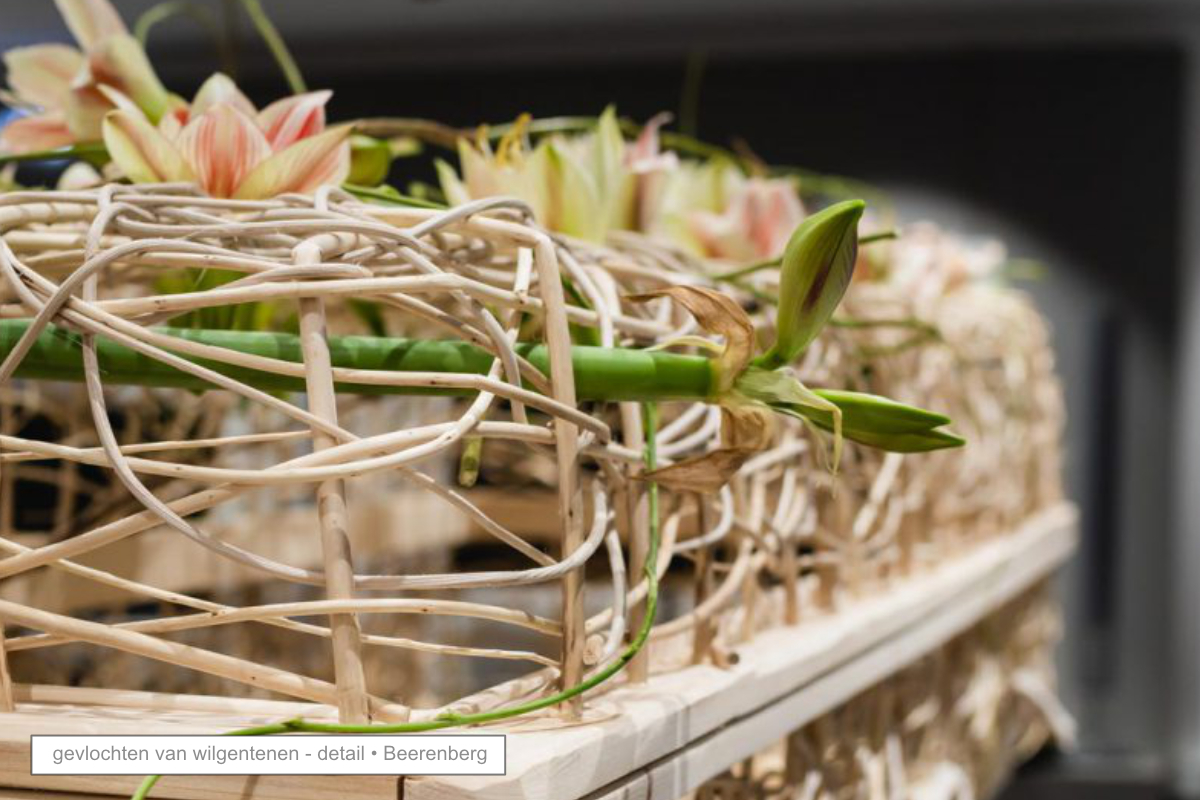 Untitled.jpg Untitled.jpg