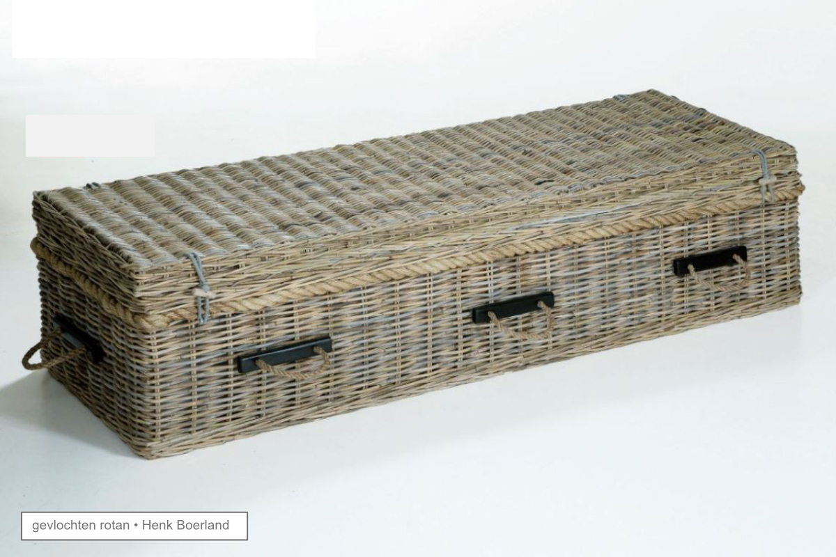 rotan_1.jpg rotan_1.jpg